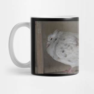 Pigeon Mug